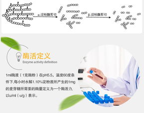 夏盛 β-淀粉酶液體70萬(wàn) 食品添加劑廠家直銷(xiāo)與互聯(lián)網(wǎng)銷(xiāo)售新機(jī)遇